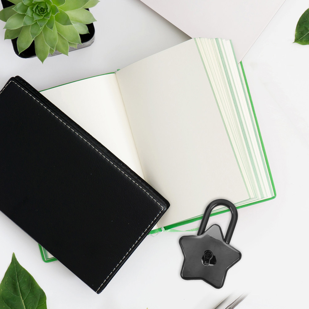 2 stuks ster-vormige hangslotj - Lockbox Key Secure recensie en prijs